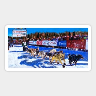 Iditarod Sled Dog Race Start in Alaska Sticker